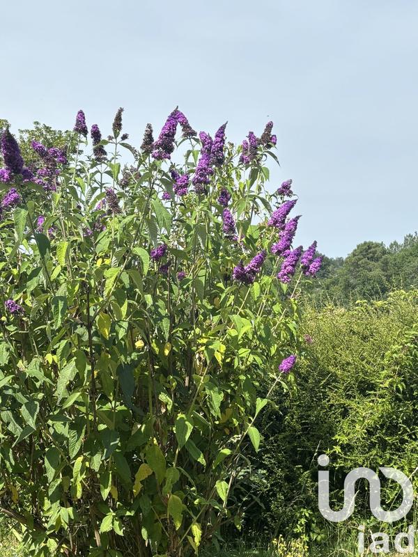 Maison de village - 72 m² - 4 pièces