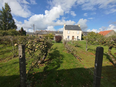 Maison - 126 m² - 7 pièces