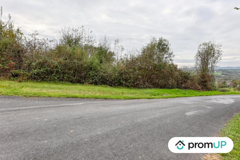 Terrain - 17 000 m²