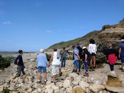 Visite guidée des falaises des Roches noires - Pointe du Heurt
