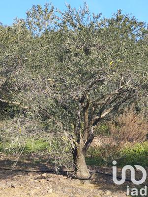 Terrain agricole - 35 260 m²