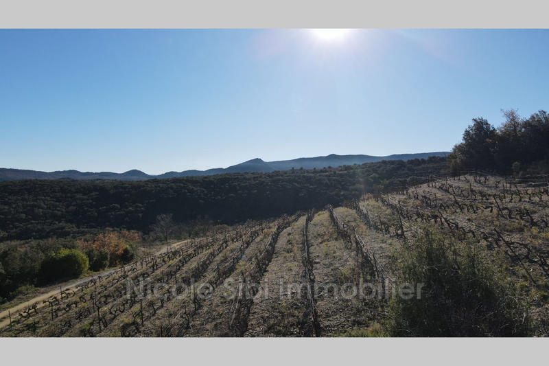 Terrain agricole - 6 890 m²