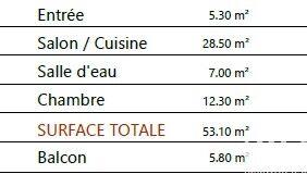 Appartement - 53 m² - 2 pièces
