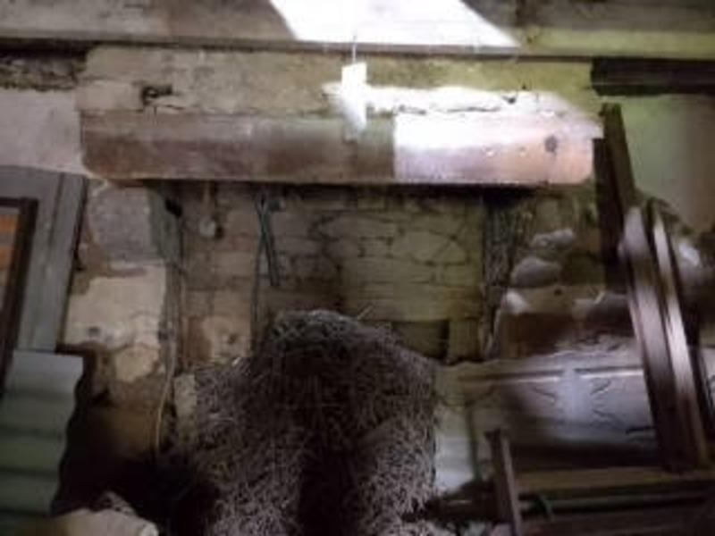 Longère - 100 m² - 1 pièce