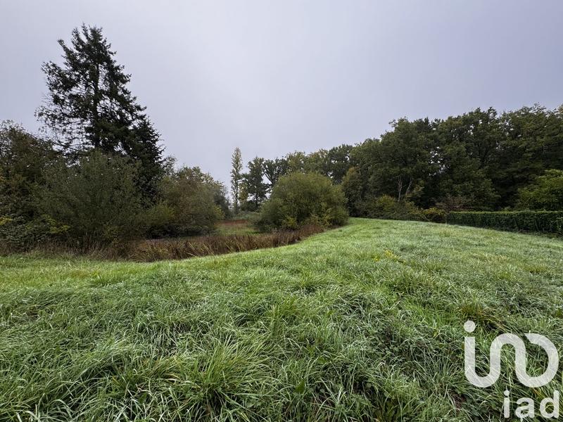 Terrain - 10 836 m²