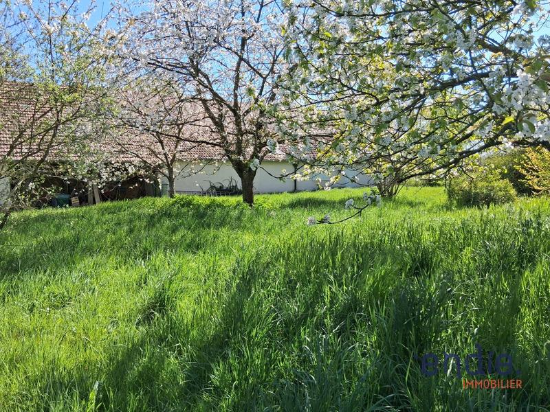 Maison - 170 m² - 7 pièces