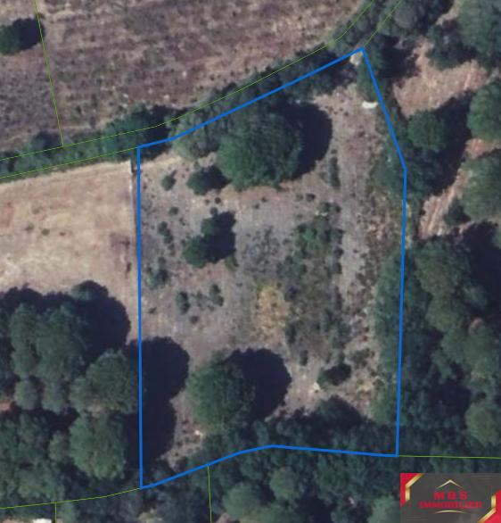 Terrain agricole - 3 780 m²