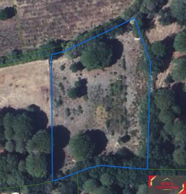 Terrain agricole - 3 780 m²