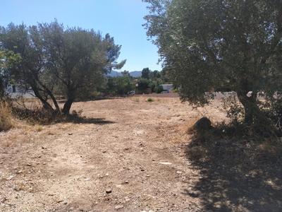 Terrain - 384 m²