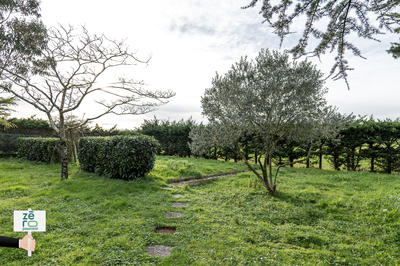 Terrain - 510 m²