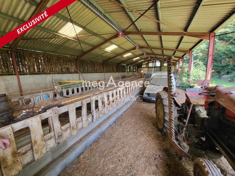 Maison - 320 m² - 13 pièces