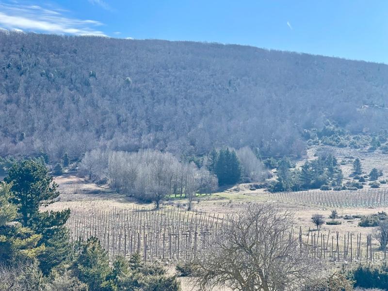 Château - 600 m² - 6 pièces