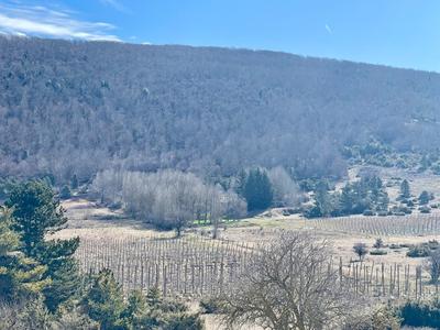 Château - 600 m² - 6 pièces