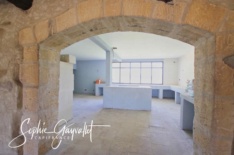 Maison - 550 m² - 9 pièces