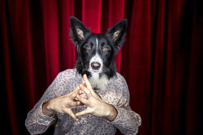 Gamineries 2026 - Ouiiiii