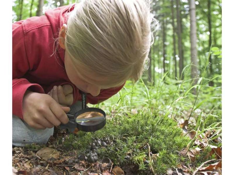 Animation nature en famille : Patte après Patte