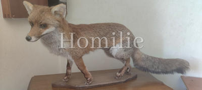 Maison - 90 m² - 6 pièces