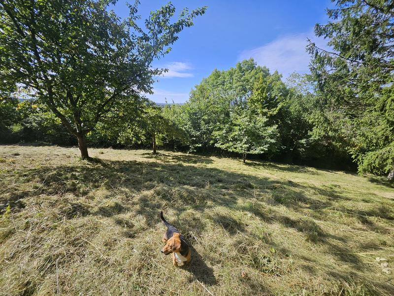 Terrain agricole - 3 547 m²
