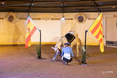 Cabaret Équestre des Mylords/Repas spectacle &quot;Les 30 ans du Domaine&quot;