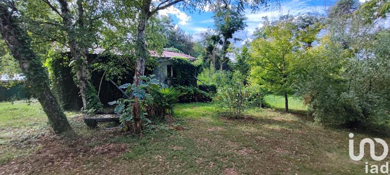 Maison - 136 m² - 4 pièces