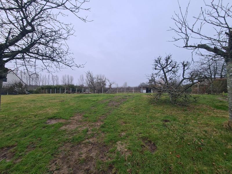 Terrain - 877 m²