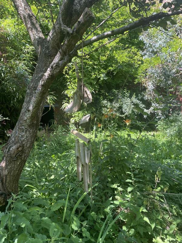 Maison contemporaine - 466 m² - 10 pièces