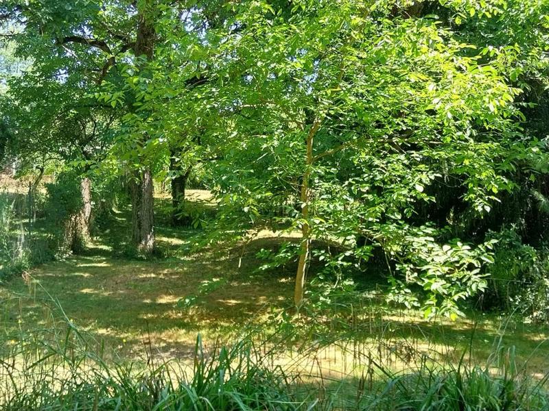 Propriété - 310 m² - 5 pièces