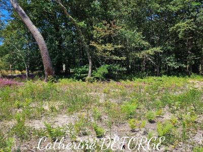 Terrain constructible - 1 298 m²