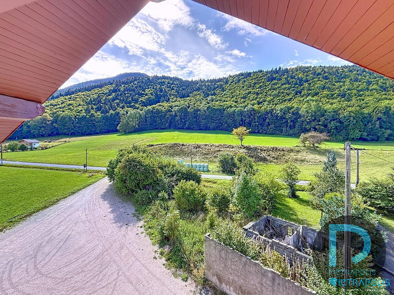 Appartement - 137 m² - 5 pièces