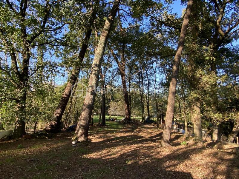 Ferme - 360 m² - 10 pièces