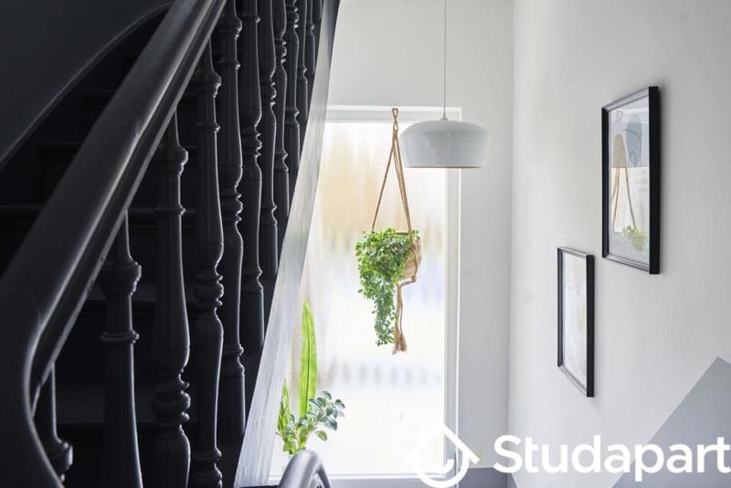 Chambre - 12 m² - 1 pièce