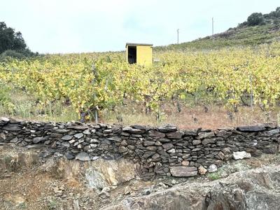 Terrain agricole - 7 500 m²