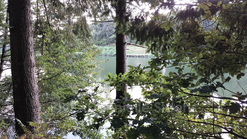 Maison - 340 m² - 12 pièces