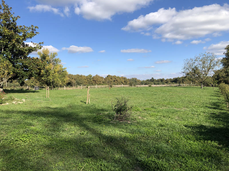 Viager - Maison - 124 m² - 4 pièces