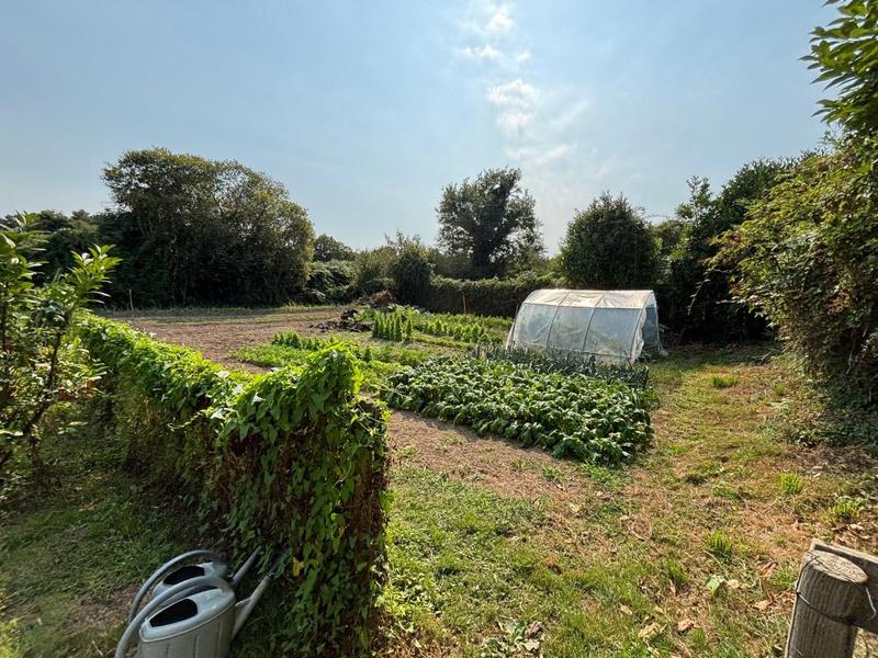 Maison - 146 m² - 5 pièces