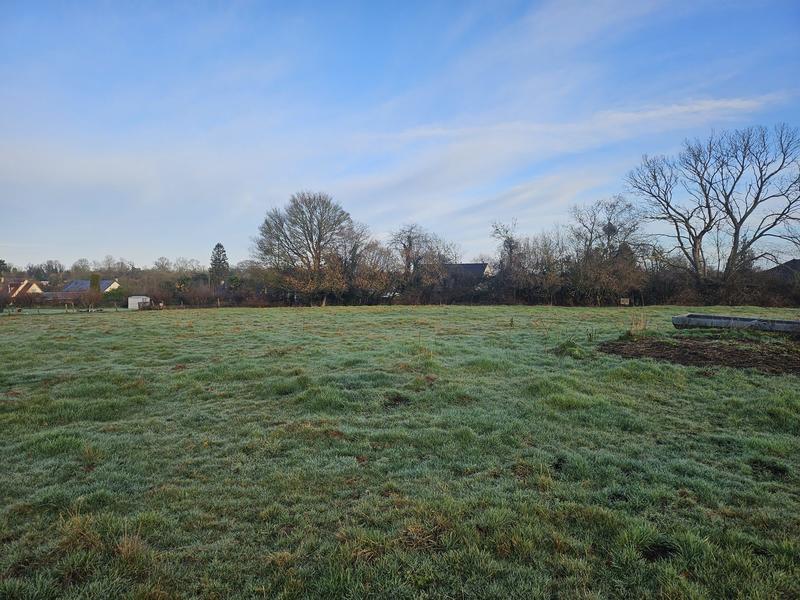 Terrain - 1 130 m²