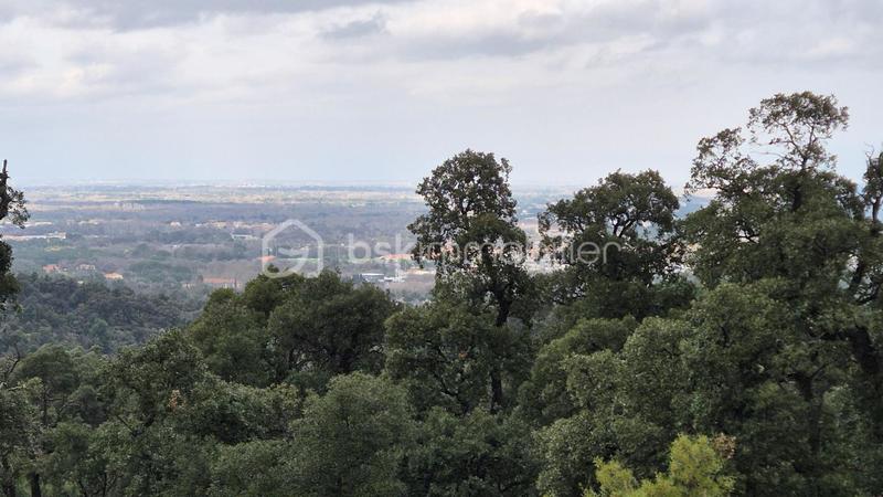 Terrain agricole - 56 090 m²