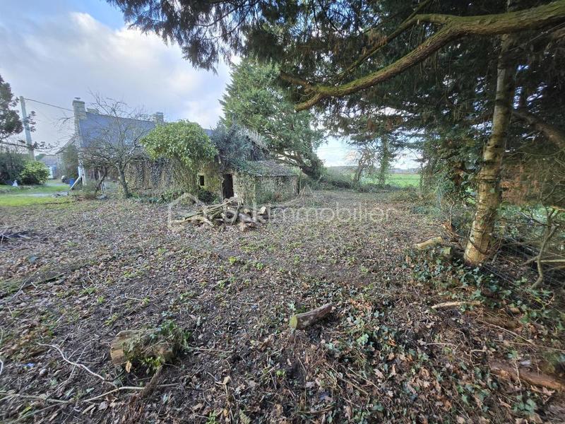 Maison en pierre - 116 m² - 3 pièces