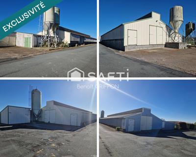 Local commercial - 4 290 m² - 9 pièces