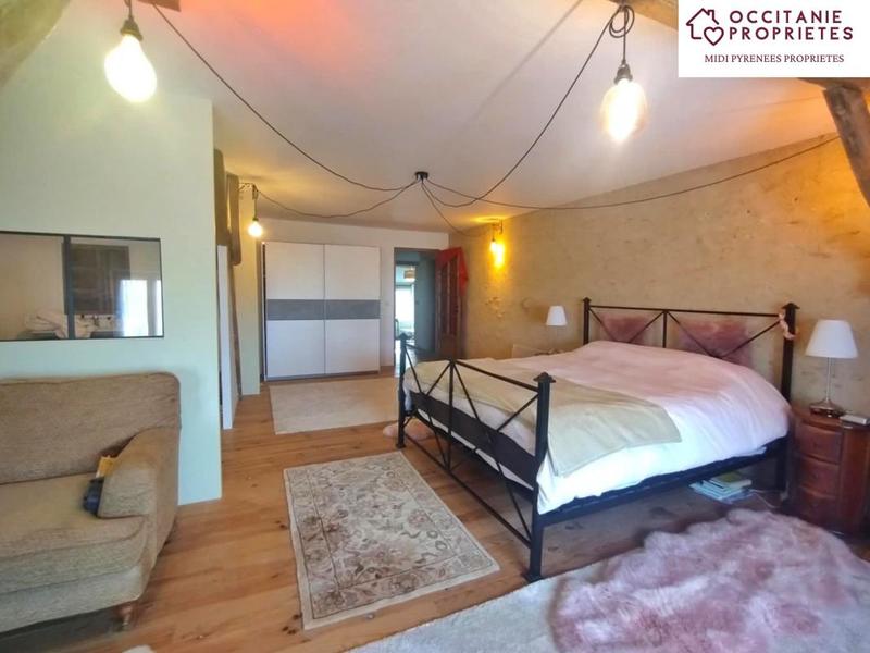 Maison ancienne - 530 m² - 12 pièces