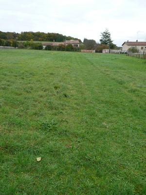 Terrain constructible - 1 000 m²