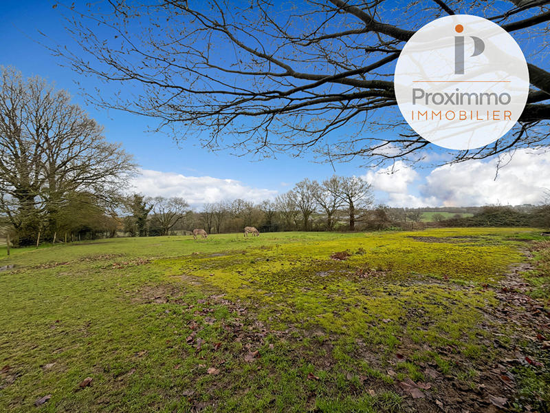 Maison - 184 m² - 7 pièces