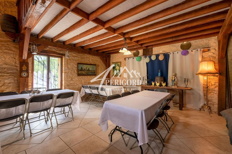 Maison ancienne - 360 m² - 13 pièces