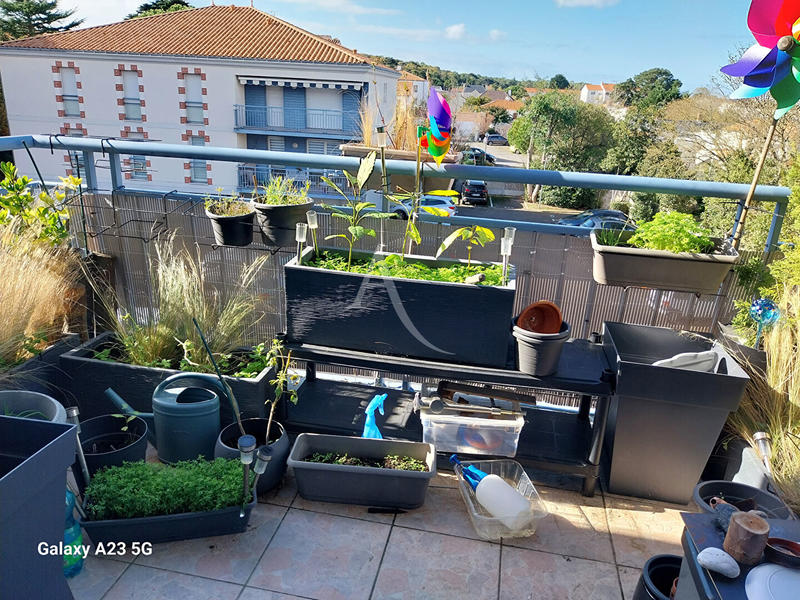 Appartement - 37 m² - 2 pièces