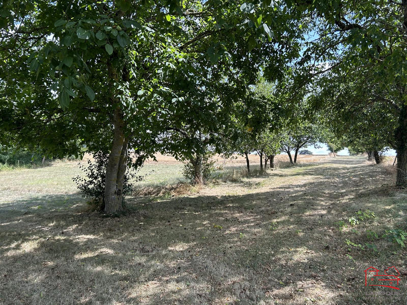 Maison ancienne - 91 m² - 5 pièces