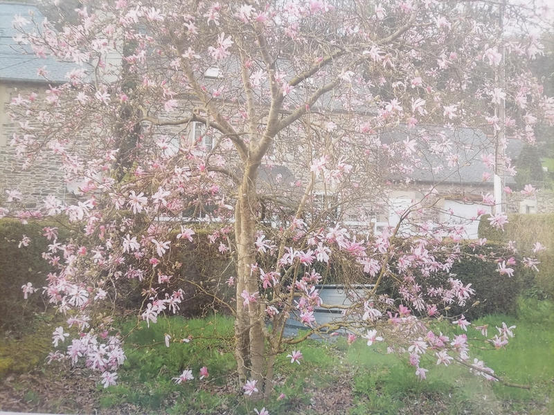 Maison - 95 m² - 6 pièces