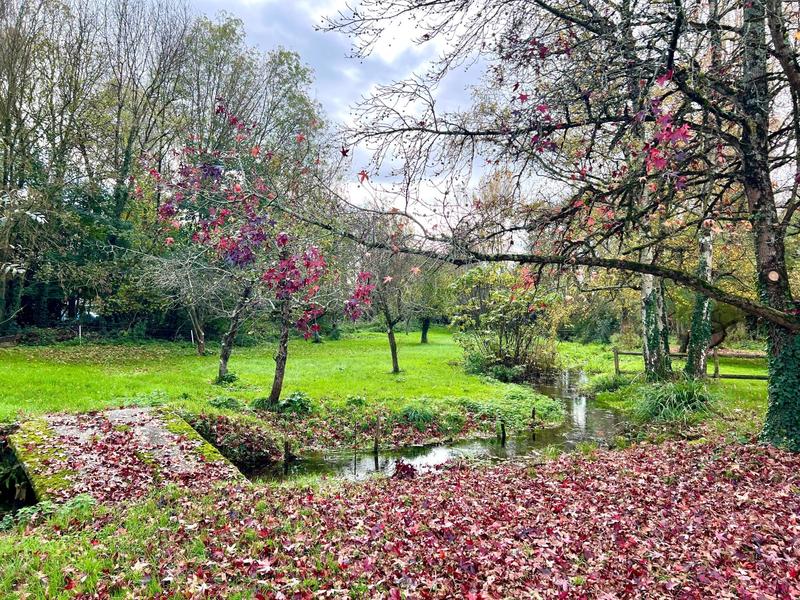 Maison - 362 m² - 11 pièces