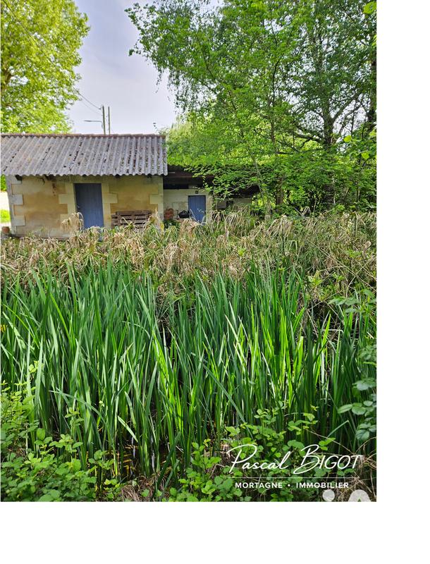 Maison - 137 m² - 5 pièces