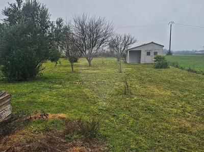 Pavillon - 116 m² - 5 pièces