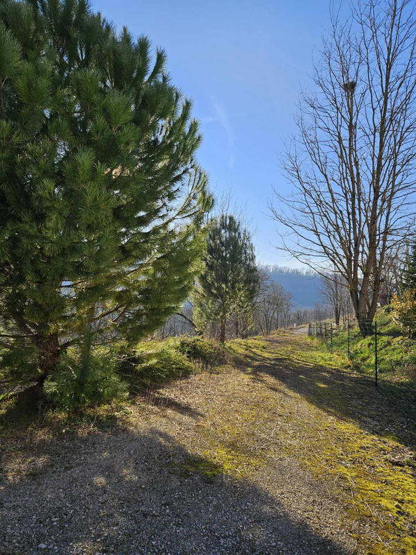Terrain - 3 000 m²